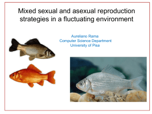 Mixed sexual and asexual reproduction strategies in a fluctuating
