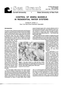 Control of Zebra Mussels in Residential Water Systems