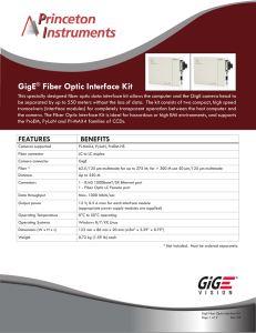 GigE® Fiber Optic Interface Kit