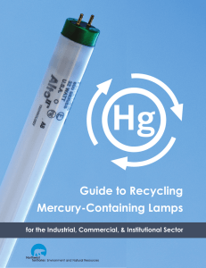Guide to Recycling Mercury-Containing Lamps