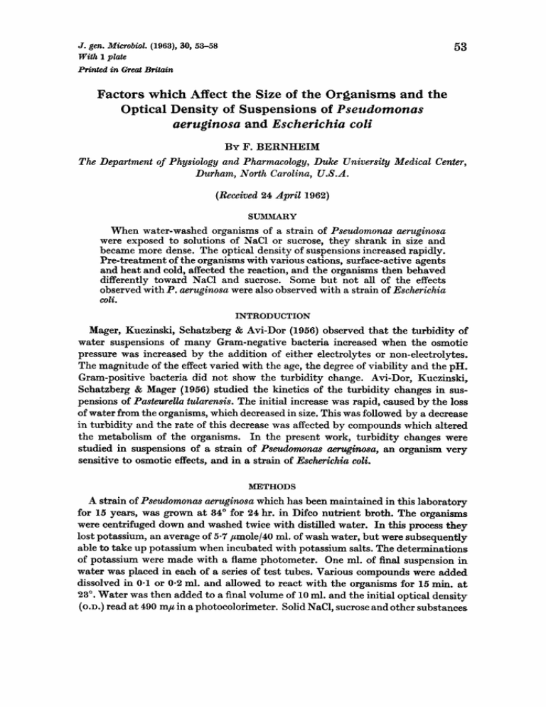 factors-which-affect-the-size-of-the-organisms-and