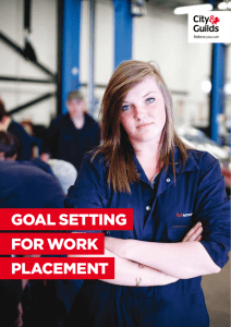 goal setting for work placement