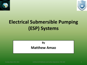 Electrical Submersible Pumping (ESP) Systems