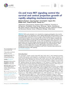 Cis and trans RET signaling control the survival and central