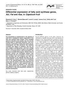 Differential expression of fatty acid synthase genes, Acl, Fat and Kas