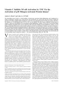 Vitamin C Inhibits NF - TARA