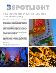 festoon and fairy lights