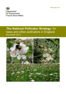 The National Pollinator Strategy: for bees and other