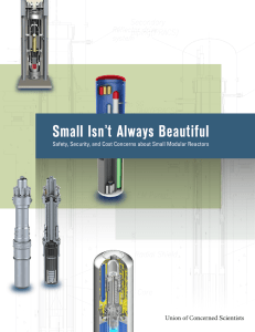 Small Isn`t Always Beautiful - Union of Concerned Scientists