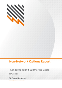 Non-Network Options Report: Kangaroo Island