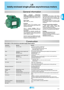 LS totally enclosed single-phase asynchronous motors General