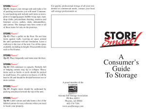 A Consumer`s Guide To Storage