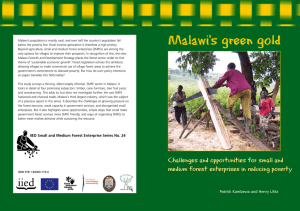 Malawi`s green gold - iied iied - International Institute for
