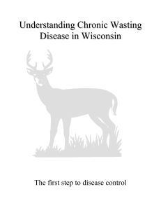 Understanding Chronic Wasting Disease In