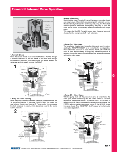 Flomatic Internal Valve Service Guide | Operation & Troubleshooting