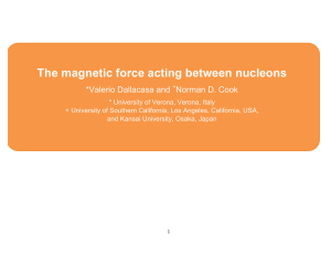 The magnetic force acting between nucleons