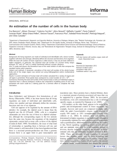 An estimation of the number of cells in the human body