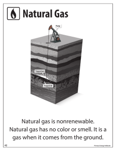 Natural Gas - The NEED Project