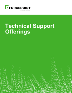 Technical Support Offerings