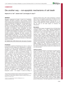 Die another way – non-apoptotic mechanisms of cell death