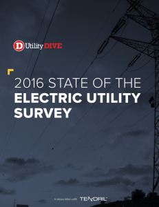 2016 state of the electric utility survey