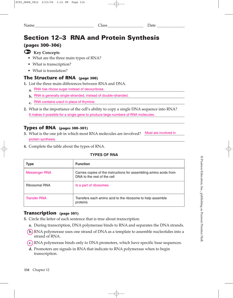 Explore Learning Rna And Protein Synthesis Answer Key - ProteinWalls