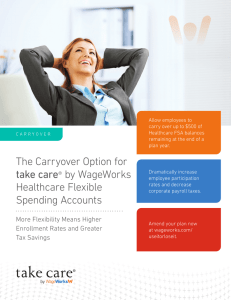 take care by WageWorks Healthcare FSA with Carryover brochure