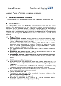 Labour 1st and 2nd Stage - Clinical Guideline for Care of a Woman In