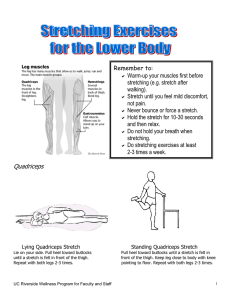 Stretches for Lower and Upper Body