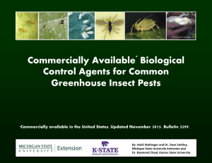 Commercially Available Biological Control Agents