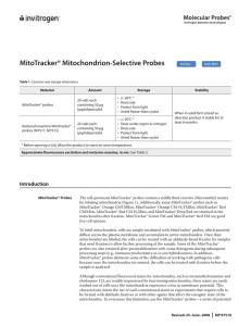 MitoTracker® Mitochondrion-Selective Probes