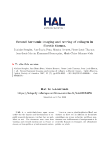 Second harmonic imaging and scoring of collagen - portail Hal