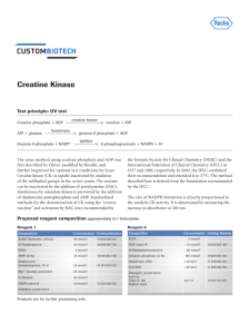 Creatine Kinase - Custom Biotech
