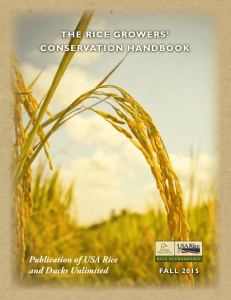 Publication of USA Rice and Ducks Unlimited