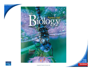 Prentice Hall Biology