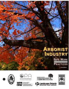 Arborist Industry Safe Work Practices