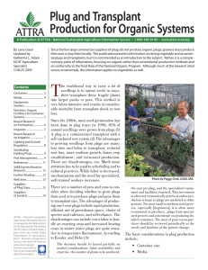Plug and Transplant Production for Organic Systems