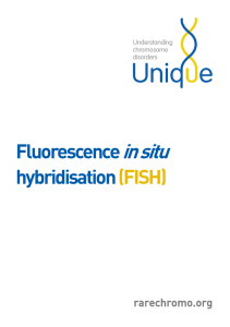 Fluorescence in situ hybridisation (FISH)