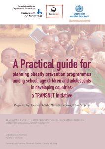 A Practical guide for planning obesity prevention programmes