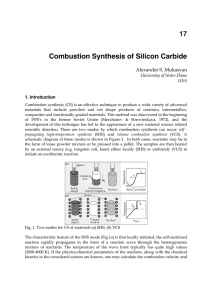 Combustion Synthesis of Silicon Carbide
