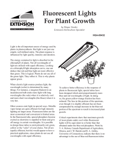 Fluorescent Lights For Plant Growth