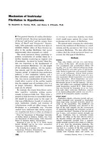 Mechanism of Ventricular Fibrillation in Hypothermia