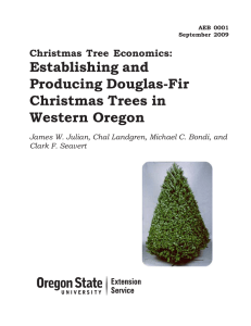 Christmas Tree Economics: Establishing and Producing Douglas