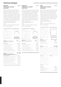 Technical catalogue Surface-mounted ceiling luminaires