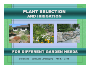 Landscaping with California Native Plants