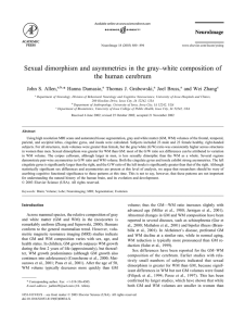 Sexual dimorphism and asymmetries in the gray–white composition