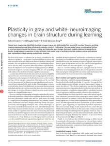 Plasticity in gray and white - Cognitive Neuroscience @ Northwestern