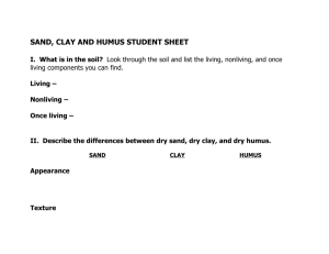 SAND, CLAY AND HUMUS STUDENT SHEET