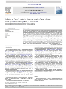Variation in Young`s modulus along the length of a rat vibrissa
