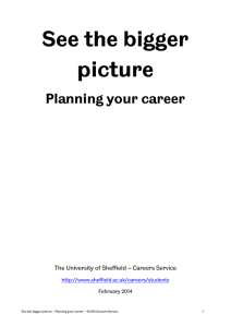 See the bigger picture - University of Sheffield